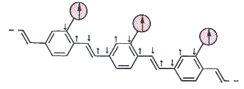 Nishide  polymer aligned magnetic atom chain