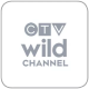 CTV Wild